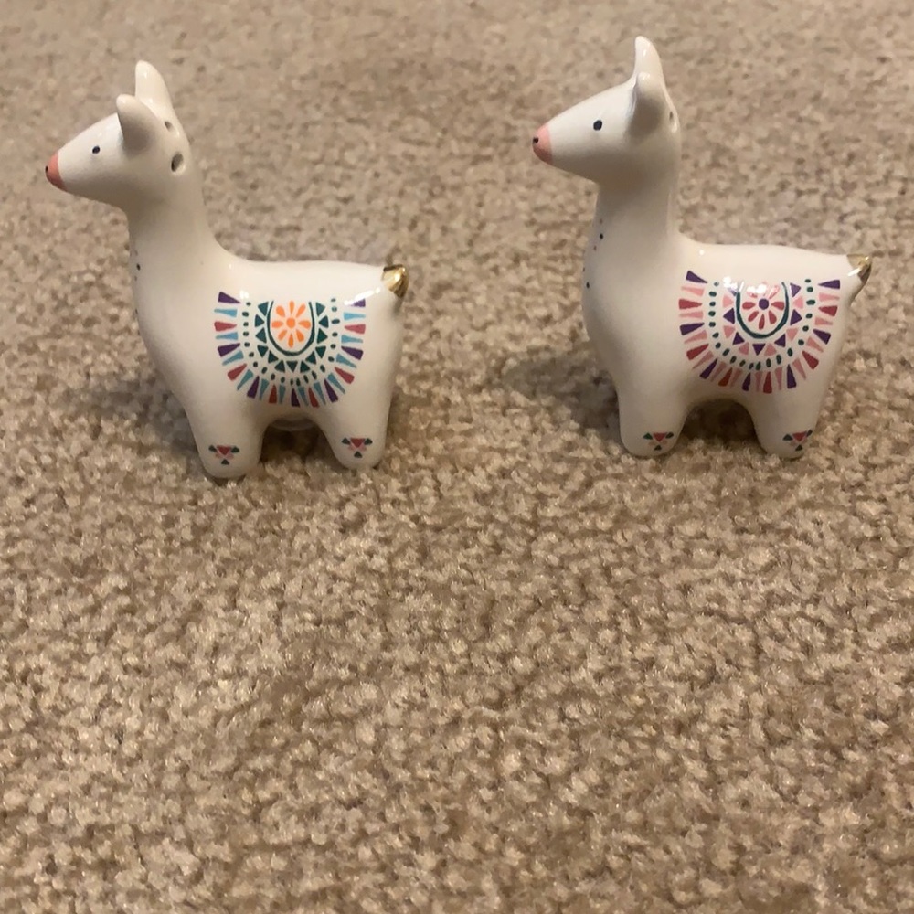 Salt and pepper shakers